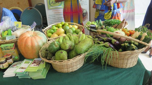 Promotion de l'agriculture biologique à Thiès : lancement d'une foire pour soutenir les acteurs