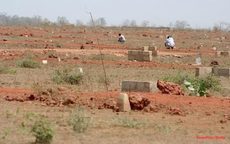 Amélioration de l'Accès aux Données Foncières : Engagement de l'État selon l'ANSD