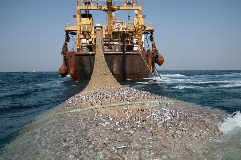 Lutte Contre la Pêche Illicite : 24 Navires Saisis en Six Mois