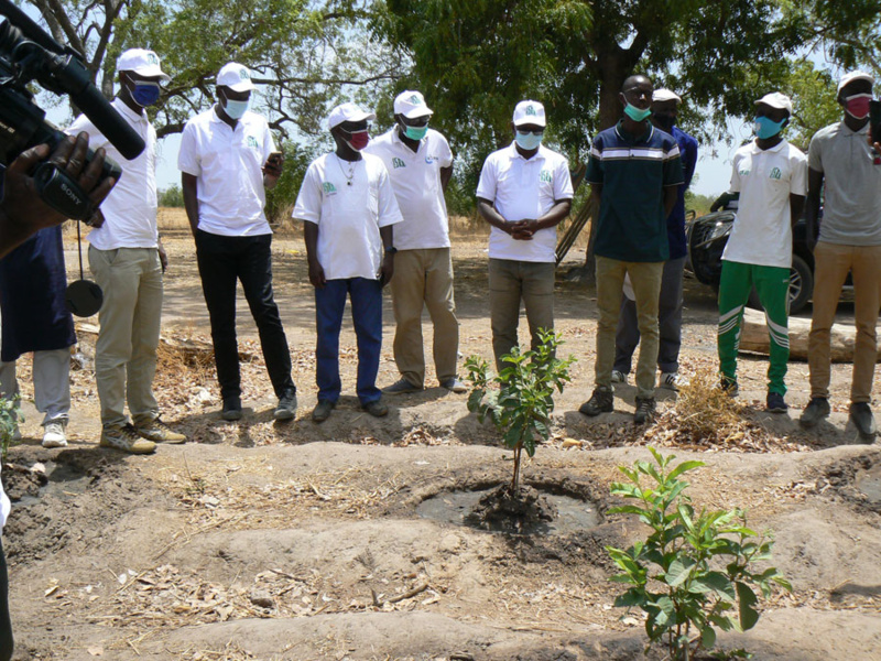 L'ISRA inaugure un parc de technologies agricoles pour améliorer les rendements à Tambacounda