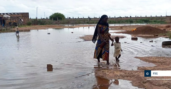 Crue du fleuve Sénégal : Matam en état d'alerte maximale (Actualité Sénégal)