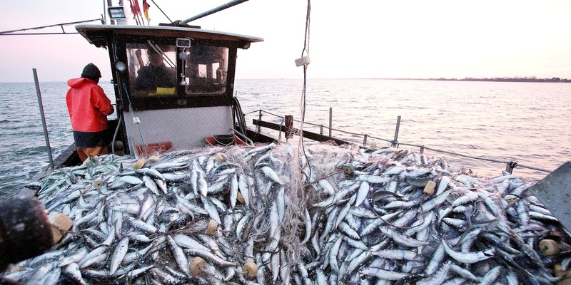 Expiration prochaine des accords de pêche entre le Sénégal et l'Union européenne