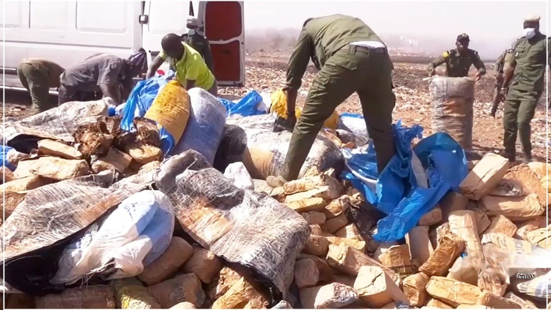 Saisie de 5 kg de chanvre indien à Ziguinchor : cinq individus interpellés