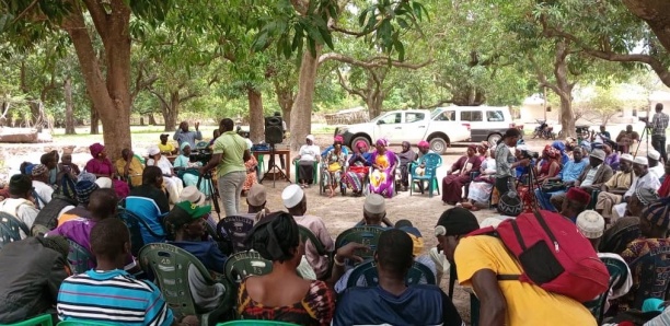 Societe Aide américaine coupée : 300 familles casamançaises à la dérive