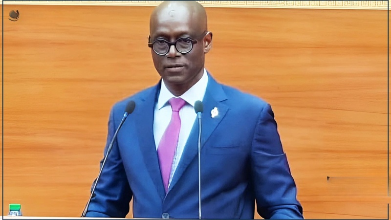 Amnistie 2024 : Manipulation et faux débats ? Thierno Alassane Sall Accuse Pastef