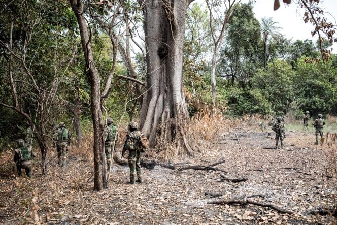 Casamance : Toute la vérité autour de la mort annoncée de soldats sénégalais, au coeur de la manipulation