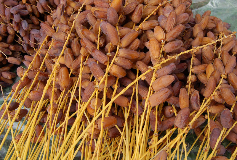 L’Arabie Saoudite offre 50 tonnes de dattes au Sénégal pour le Ramadan 2025