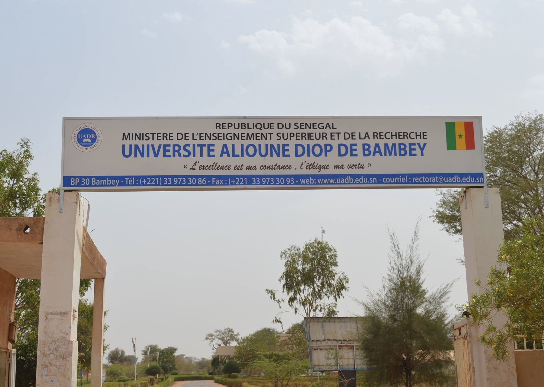 Concours CAMES 2024 : L’université Alioune Diop atteint un taux de réussite de 82,35 %