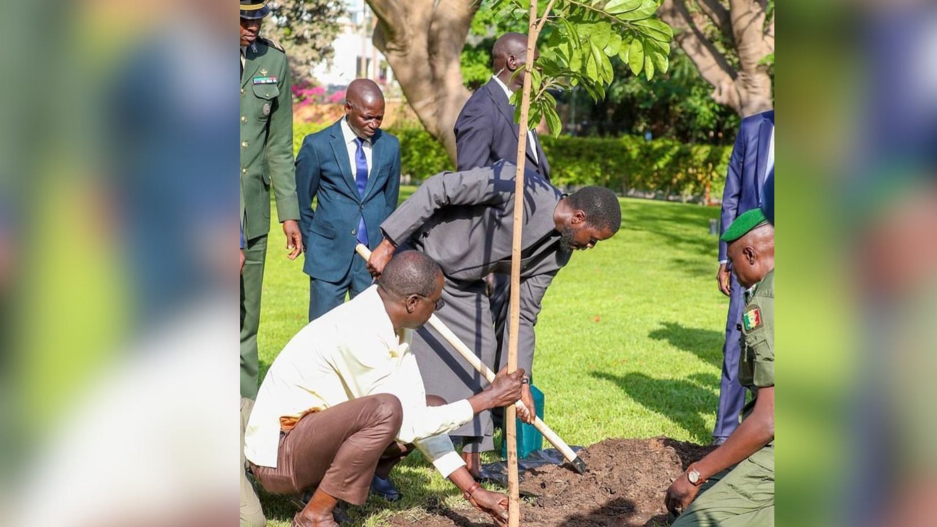 Le Président Bassirou Diomaye Faye à Touba pour la Journée nationale de l’arbre