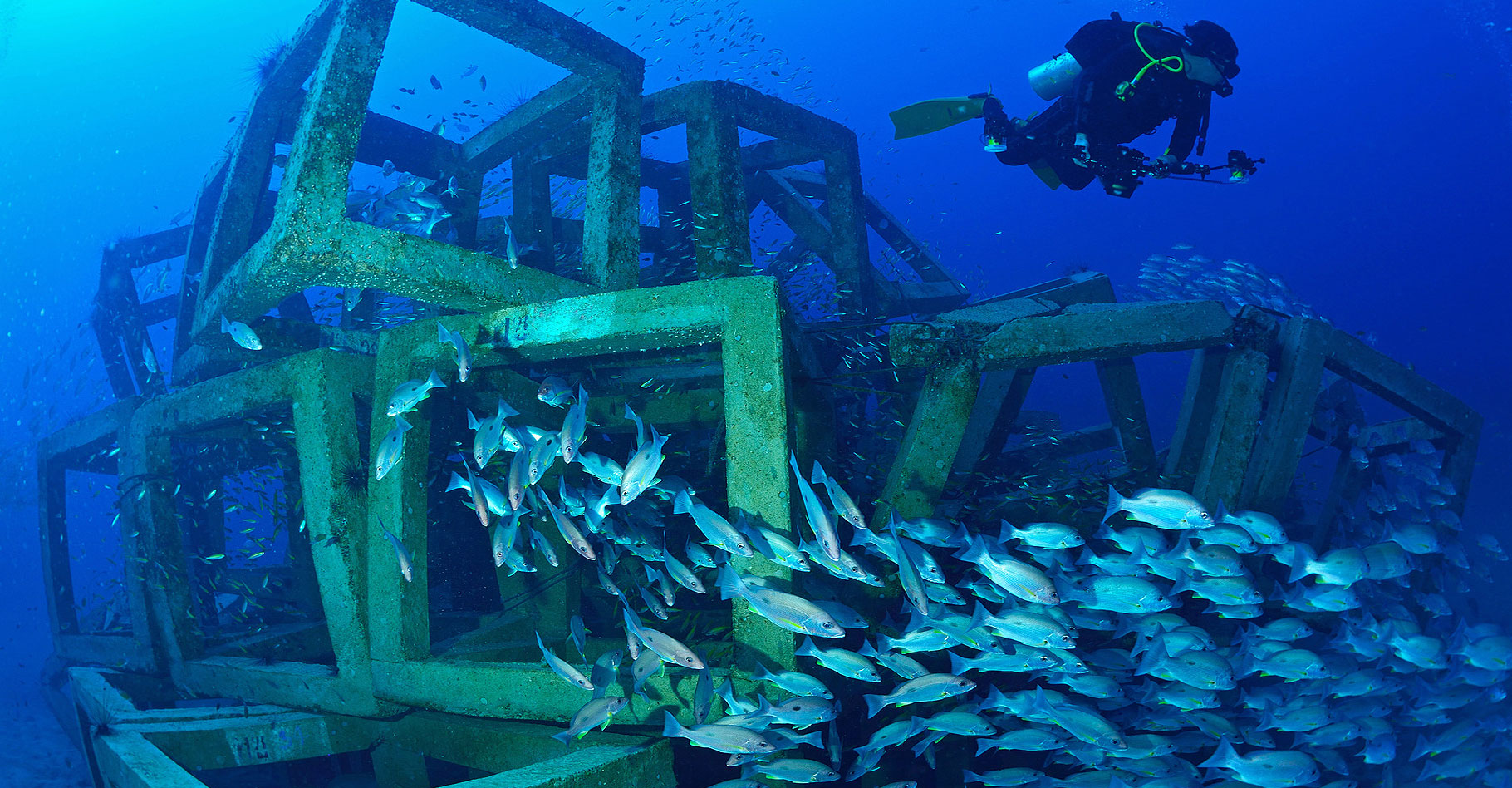 Indignation des pêcheurs artisanaux de Saint-Louis face à la décision de BP et Kosmos Energy sur les récifs artificiels