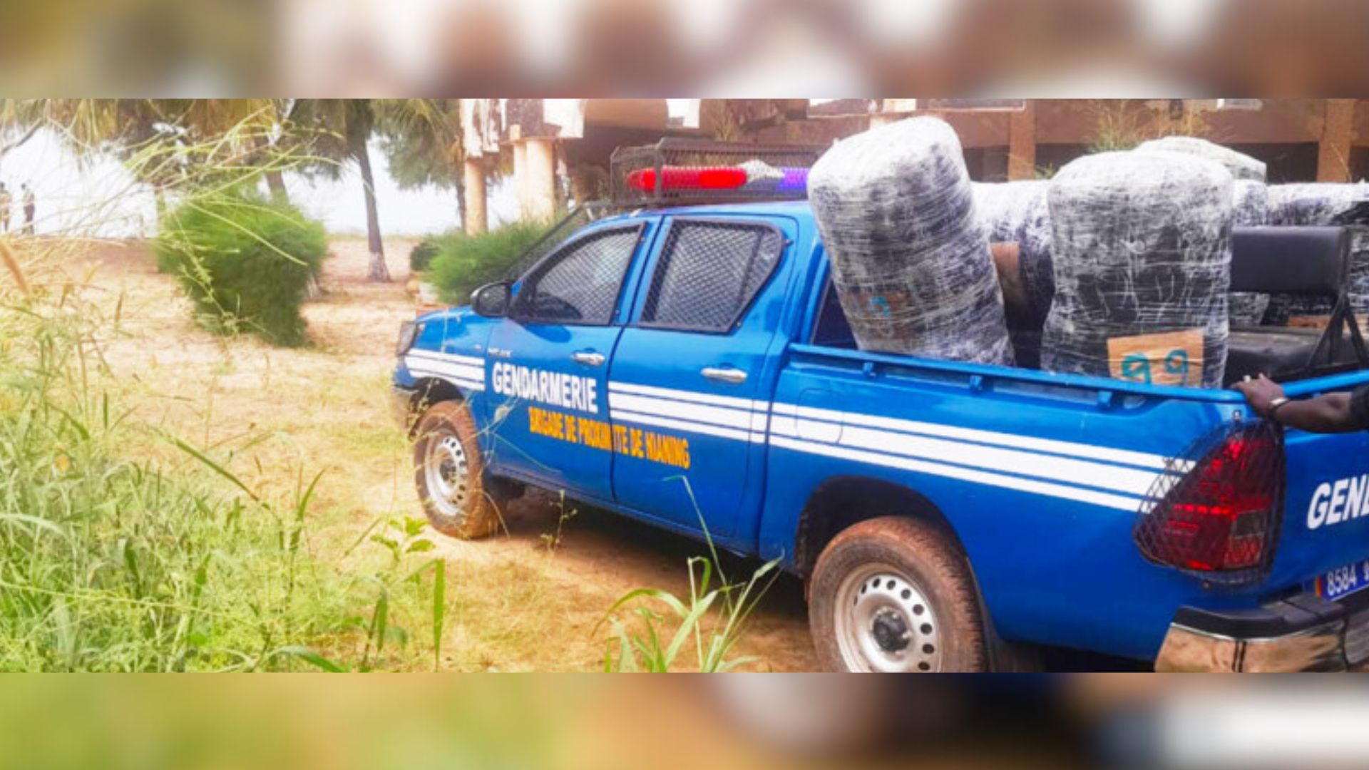 Saisie de 240 kg de chanvre indien au large de Nianing par la gendarmerie