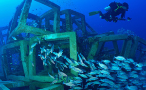 Indignation des pêcheurs artisanaux de Saint-Louis face à la décision de BP et Kosmos Energy sur les récifs artificiels