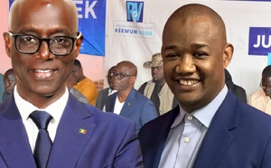 Thierno Alassane Sall : Une opposition responsable face aux apprentis de Pastef*