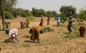 Kaolack : Les femmes rurales intensifient leur lutte pour l’accès équitable à la terre et aux ressources agricoles