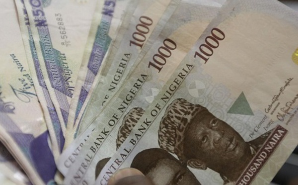 La dévaluation du naira nigérian relance le débat sur le franc CFA et sur la monnaie commune de la CEDEAO