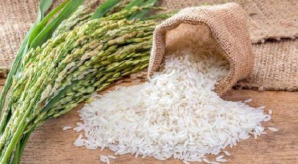 Inde : après le riz brisé, les expéditions de riz blanc non-basmati sont désormais suspendues