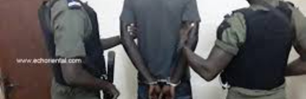 Kédougou : Saisie de 200 kg de Cyanure par la gendarmerie