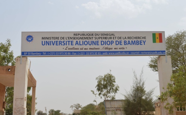 Concours CAMES 2024 : L’université Alioune Diop atteint un taux de réussite de 82,35 %