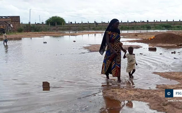 Crue du fleuve Sénégal : Matam en état d'alerte maximale (Actualité Sénégal)