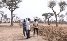 Litige foncier à Ndiéyène Sirakh: Les populations s'opposent  à l'octroi de 250 hectares à des étrangers