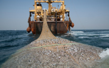 Lutte Contre la Pêche Illicite : 24 Navires Saisis en Six Mois