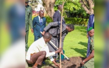 Le Président Bassirou Diomaye Faye à Touba pour la Journée nationale de l’arbre