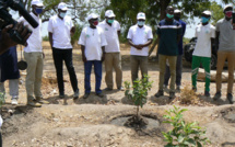 L'ISRA inaugure un parc de technologies agricoles pour améliorer les rendements à Tambacounda