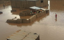 Inondations à Kanel : 43 maisons et 239 hectares de rizières dévastés par la crue du fleuve Sénégal