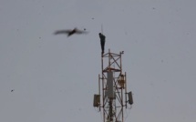 Un jeune homme avec des troubles mentaux grimpe une antenne de 100 mètres à Niague : la gendarmerie sur place (Video)